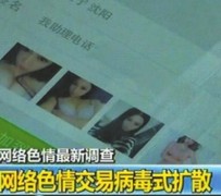 惠东上海伴游 伴游女郎白天陪玩晚上陪睡 网络跑火日薪过万(图)