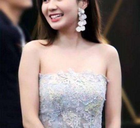 惠东cnbanycom伴游中国明星的简单介绍