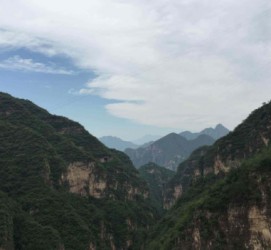 惠东伴游中国伴游城(伴游网上海)