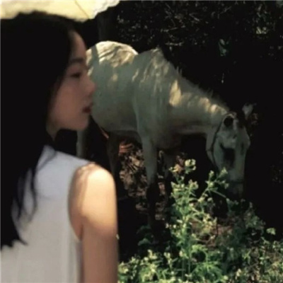 惠东私家伴游让你拥有一次完美的旅游体验